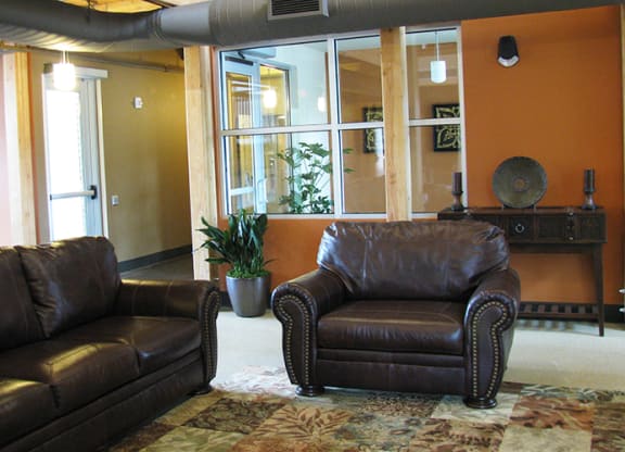 a living room with two leather couches and a potted plant