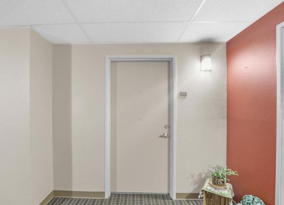 A white door is in a hallway with a plant on a side table.
