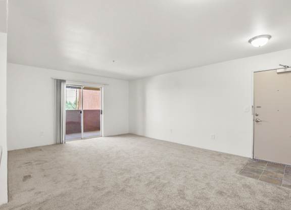 A room with a carpeted floor, a door, and a window with a view of a building outside.