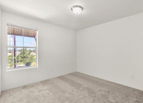 A room with a window and a carpeted floor.