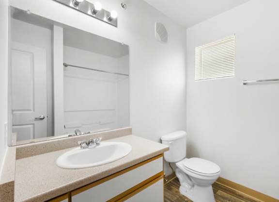 A white toilet sits next to a sink in a bathroom.