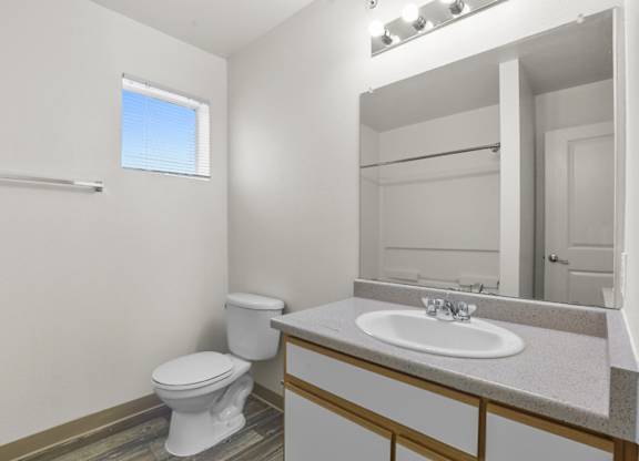 A white toilet sits next to a sink in a bathroom.