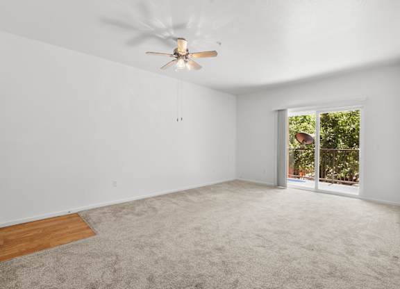A room with a ceiling fan and a carpeted floor.