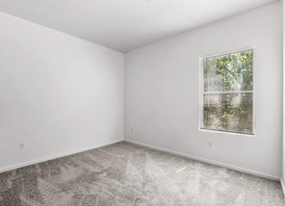 A room with a window and a carpeted floor.