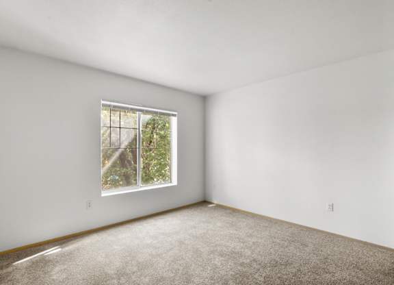 A room with a window and carpeted floor.