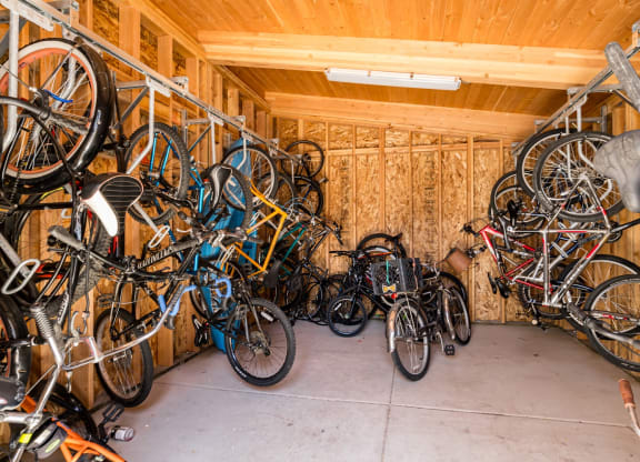 a room filled with lots of bikes
