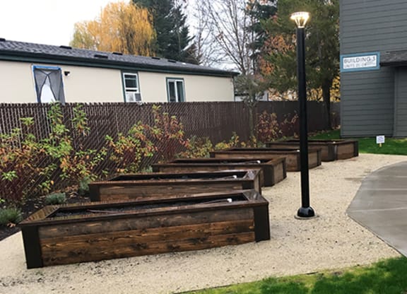 a row of wooden benches in a garden