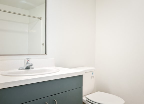 a bathroom with a sink and a toilet and a mirror