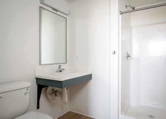 a bathroom with a sink and a mirror and a shower