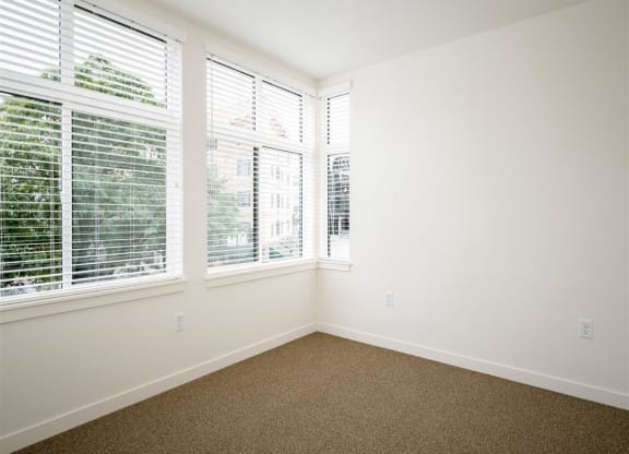 an empty room with three windows and a carpet