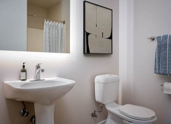 a bathroom with a sink and a toilet and a mirror