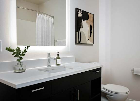 a bathroom with a sink and a mirror and a toilet