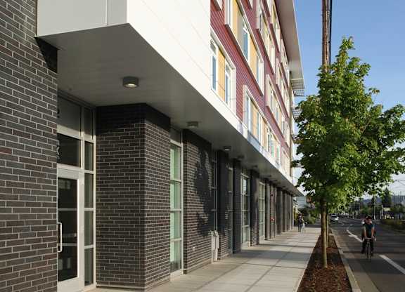 A tree is planted in a long, narrow planter on a sidewalk.