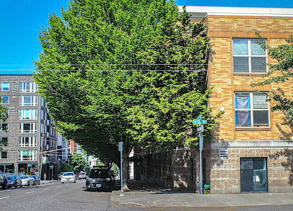 A tree in front of a building with a street in front of it.
