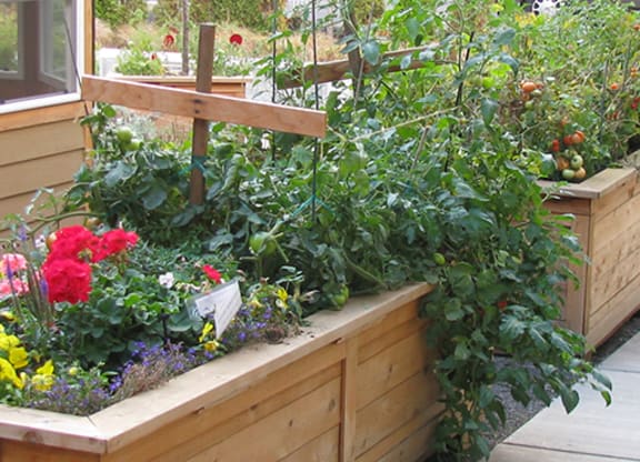 a vegetable garden in a wooden box on a porch