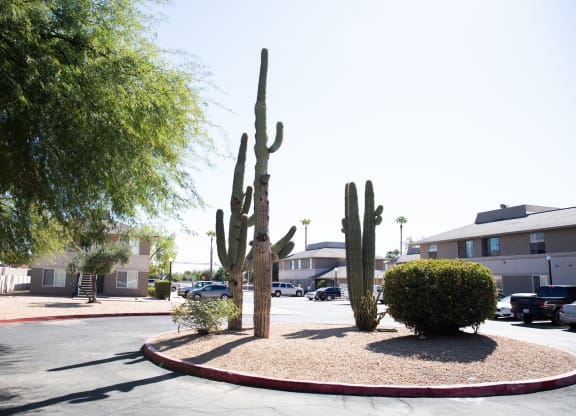 Sierra Vista