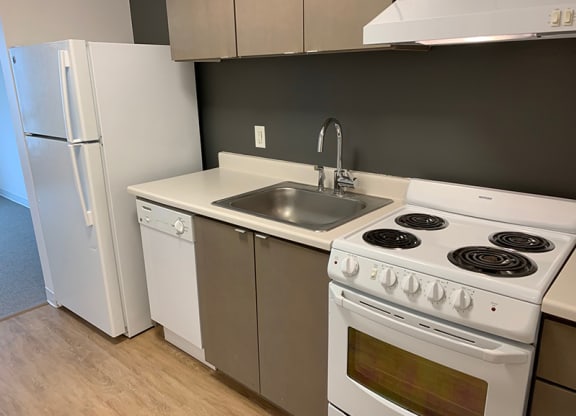 a kitchen with a stove and a sink and a refrigerator