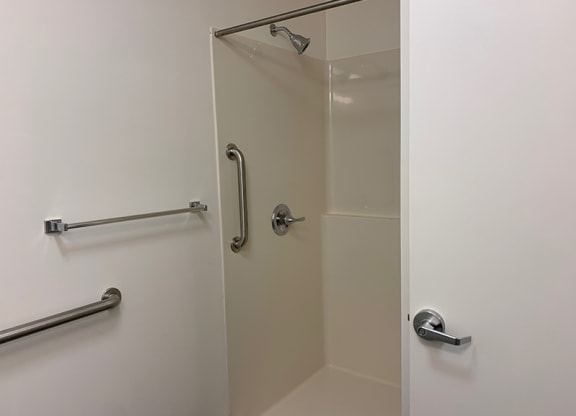 a bathroom with a shower and two grab bars