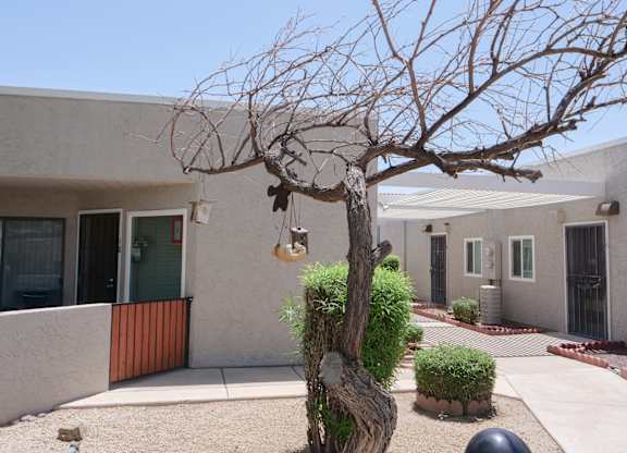 A tree with hanging planters in front of a building.