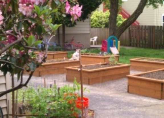 A garden with wooden beds and a tree with pink flowers.