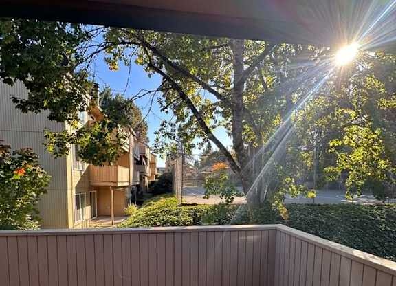 A wooden deck with a sunbeam shining through the trees.