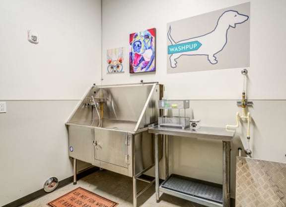 The Marilyn_Pet Wash Station