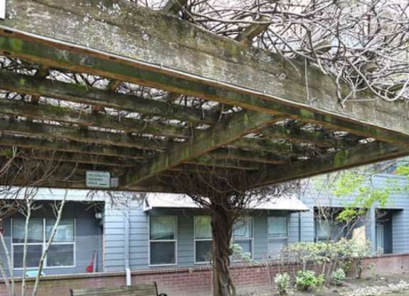 A tree under a bridge with a bench under it.