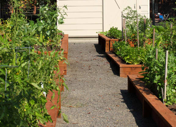 TownCenterStation_Photo_Garden