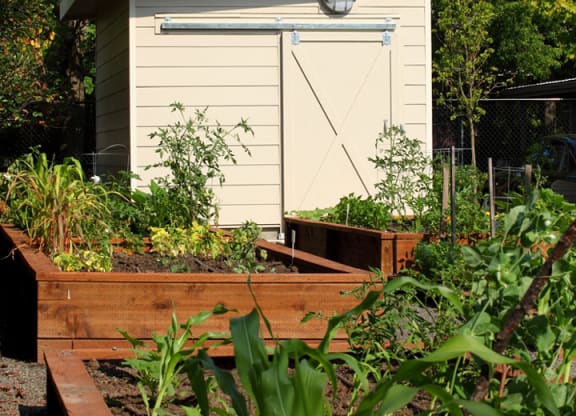 TownCenterStation_Photo_GardenShed