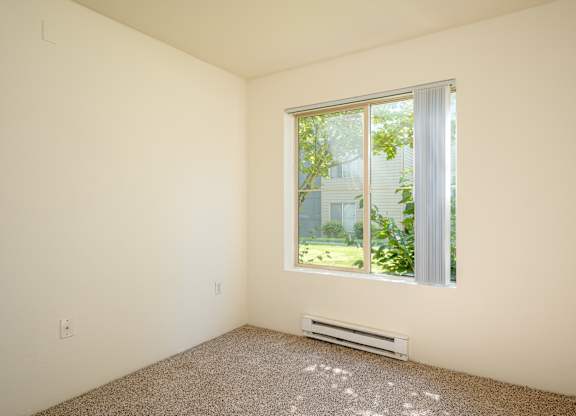 A room with a window and a carpet on the floor.
