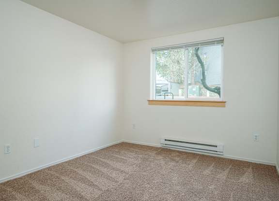 A room with a window and a carpet on the floor.