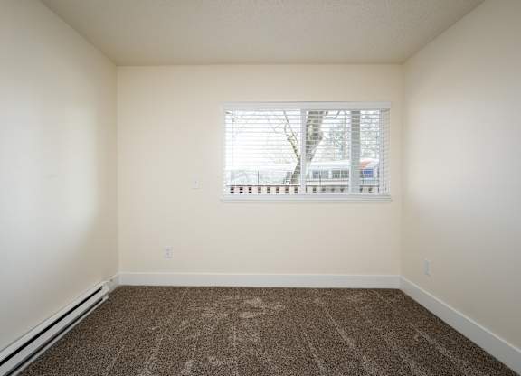 A room with a brown carpet and a window with blinds.