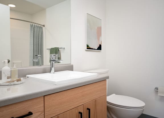 a bathroom with a sink and toilet and a mirror