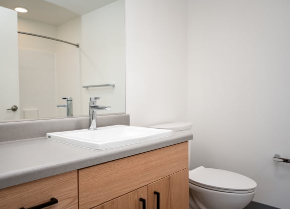 a bathroom with a sink and a toilet and a mirror