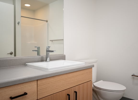 a bathroom with a sink and a toilet and a mirror