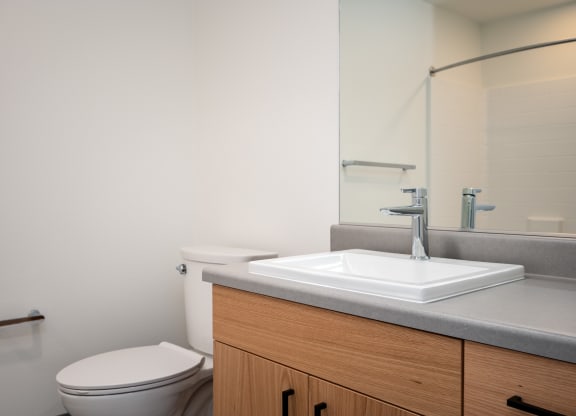 a bathroom with a sink and a toilet and a mirror