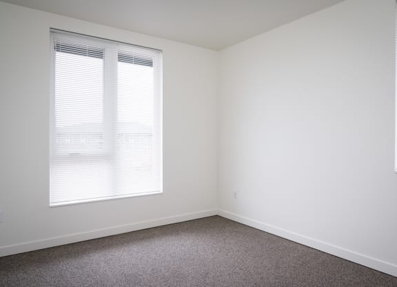 a small room with two windows and a carpeted floor