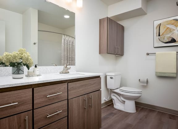 a bathroom with wooden cabinets and a toilet