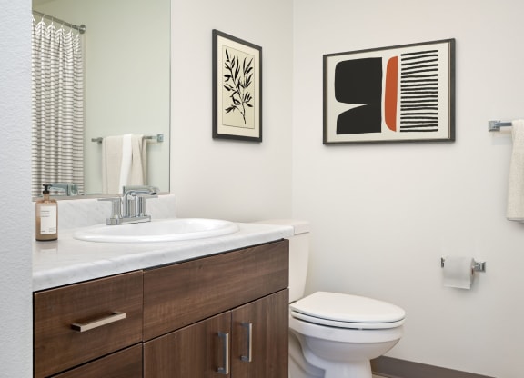 a bathroom with a sink and a toilet and a mirror