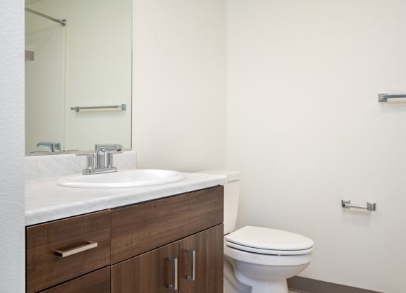 a bathroom with a toilet and a sink and a mirror