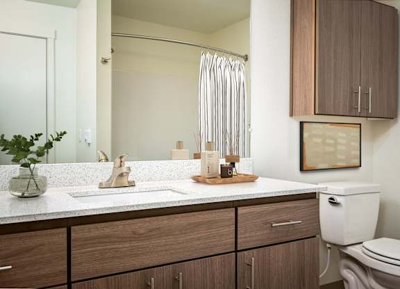 A bathroom with a white toilet, a sink with a wooden tray on it, and a mirror above the sink.