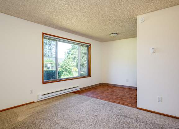 A room with a window and a carpet on the floor.