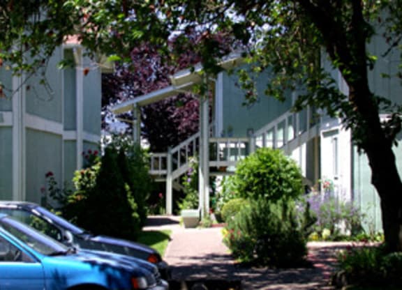 Walnut Court