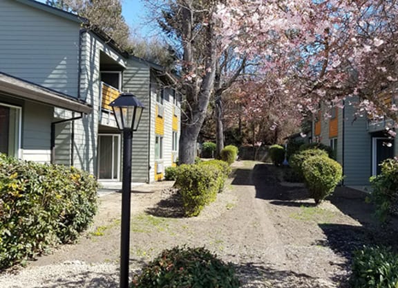 a street with houses and trees with pink flowers