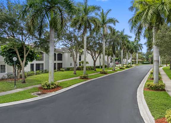 A street lined with palm trees and houses.
