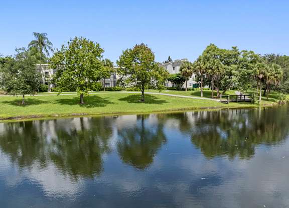 A view of a pond.