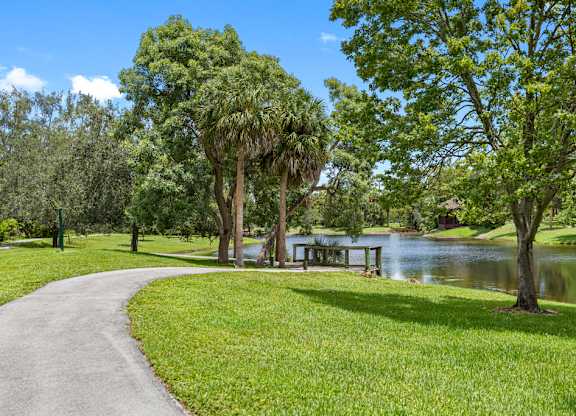 A park with a pond and a bench.