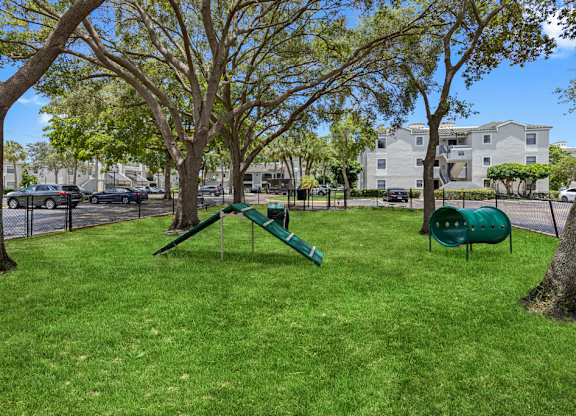 Outdoor play area for dogs.
