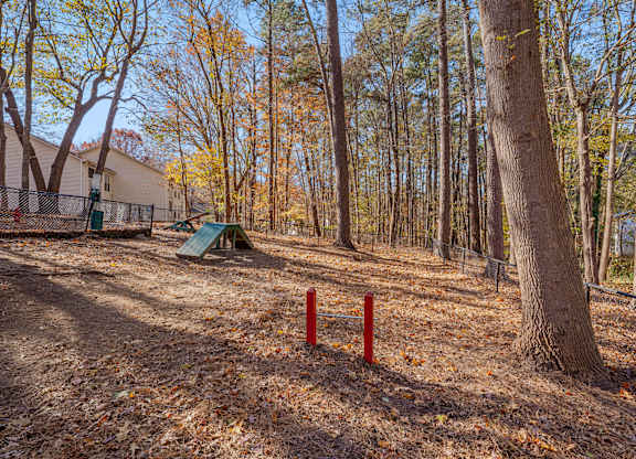 A playground with a red pole in the middle of a wooded area.
