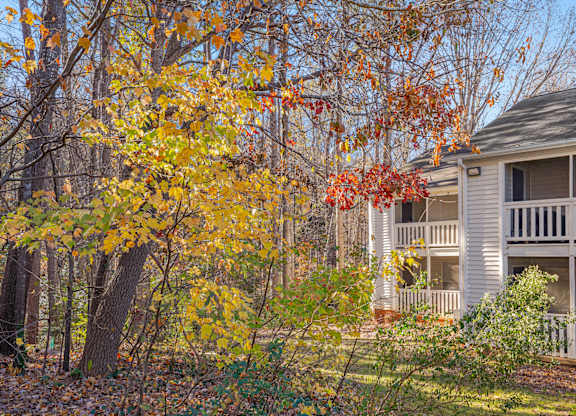 A house with a porch is surrounded by trees with fall foliage.